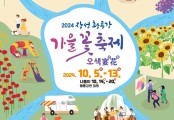 전남장성 황룡강 가을꽃축제 기대 만발